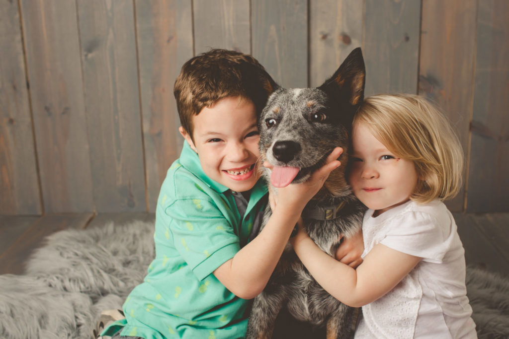 senior dog with kids